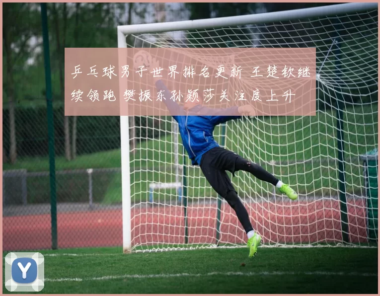 乒乓球男子世界排名更新 王楚钦继续领跑 樊振东孙颖莎关注度上升