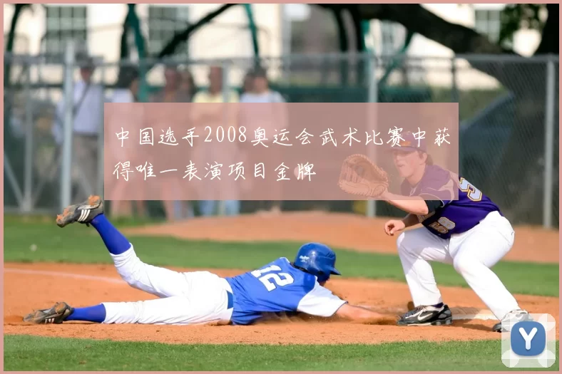 中国选手2008奥运会武术比赛中获得唯一表演项目金牌