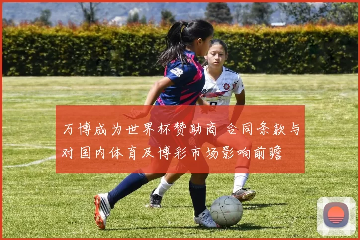 万博成为世界杯赞助商 合同条款与对国内体育及博彩市场影响前瞻