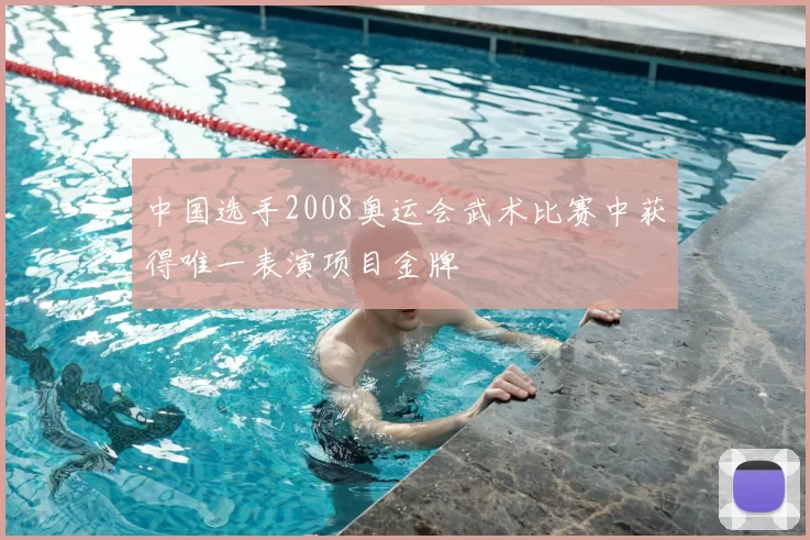 中国选手2008奥运会武术比赛中获得唯一表演项目金牌