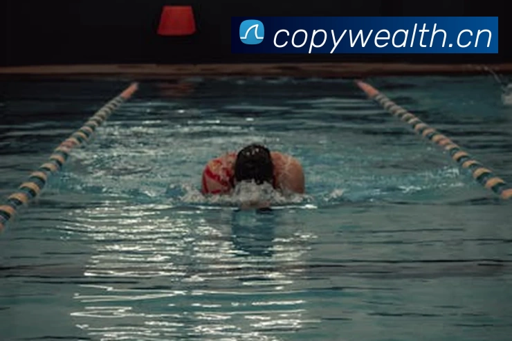 九游网页版·官方版在线入口 - 九游(中国)发展历程